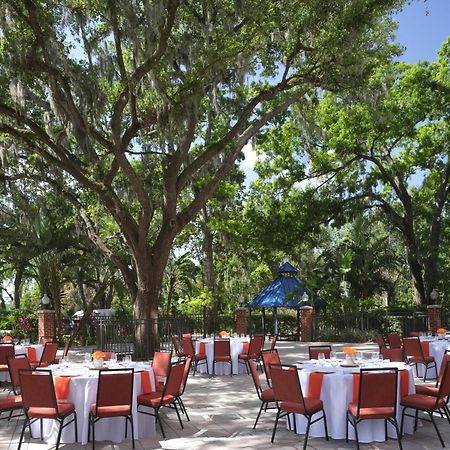 Hilton Garden Inn Tampa East Brandon Mango Eksteriør bilde