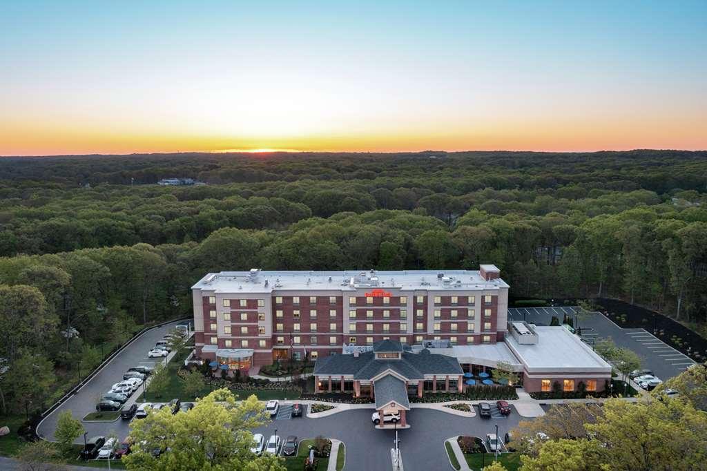 Hilton Garden Inn Tampa East Brandon Mango Eksteriør bilde