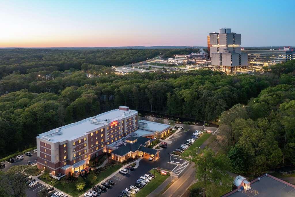 Hilton Garden Inn Tampa East Brandon Mango Eksteriør bilde
