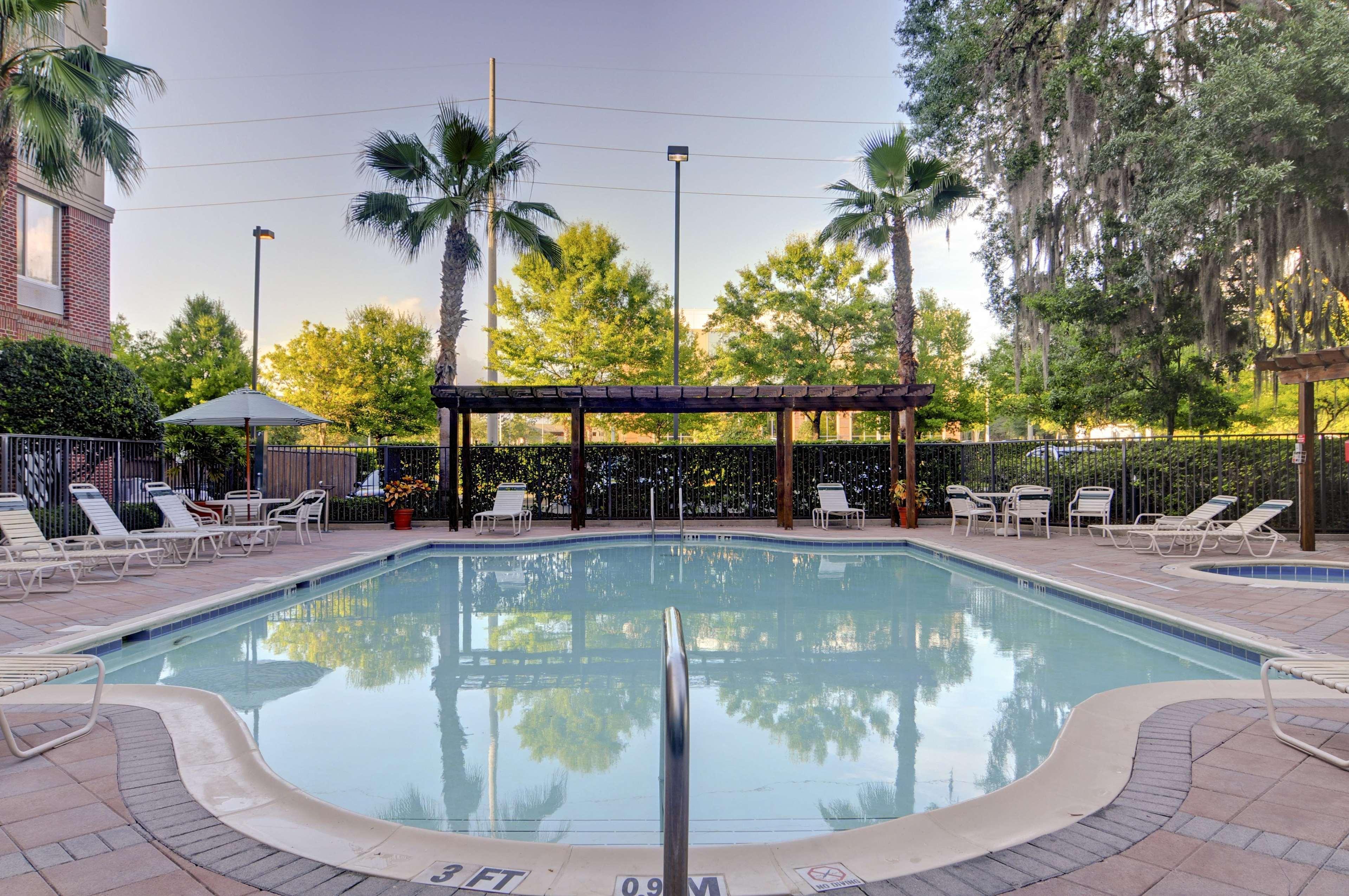 Hilton Garden Inn Tampa East Brandon Mango Eksteriør bilde