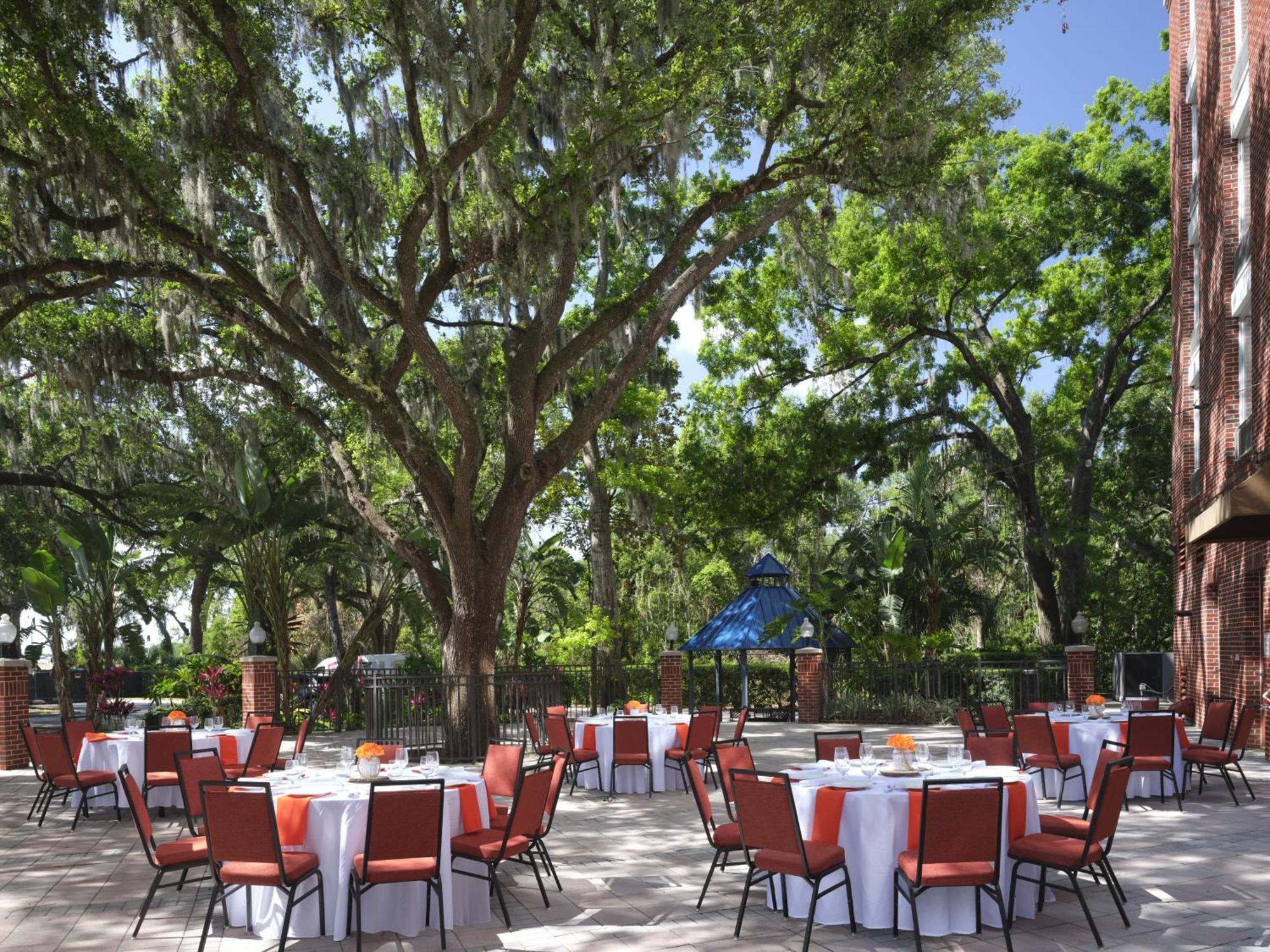 Hilton Garden Inn Tampa East Brandon Mango Eksteriør bilde